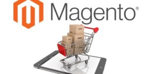 Curso Crea tu Tienda Online con Magento