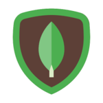 Icono_MongoDB_150x150.png